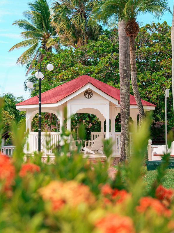 White garden gazebo with a red roof behind orange flowers and palm trees.