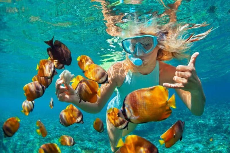 Snorkeler in a blue mask gives a hand gesture among striped tropical fish.