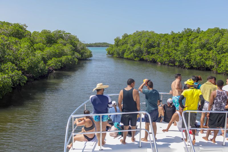 Passengers on a boat travel along a calm channel bordered by dense mangroves.