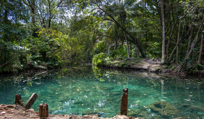 Clear turquoise freshwater pool surrounded by dense forest and wooden posts along the bank.