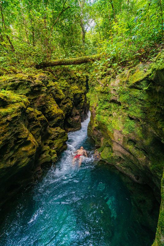 Tall mossy canyon walls frame a narrow turquoise stream and a swimmer below a forest canopy.